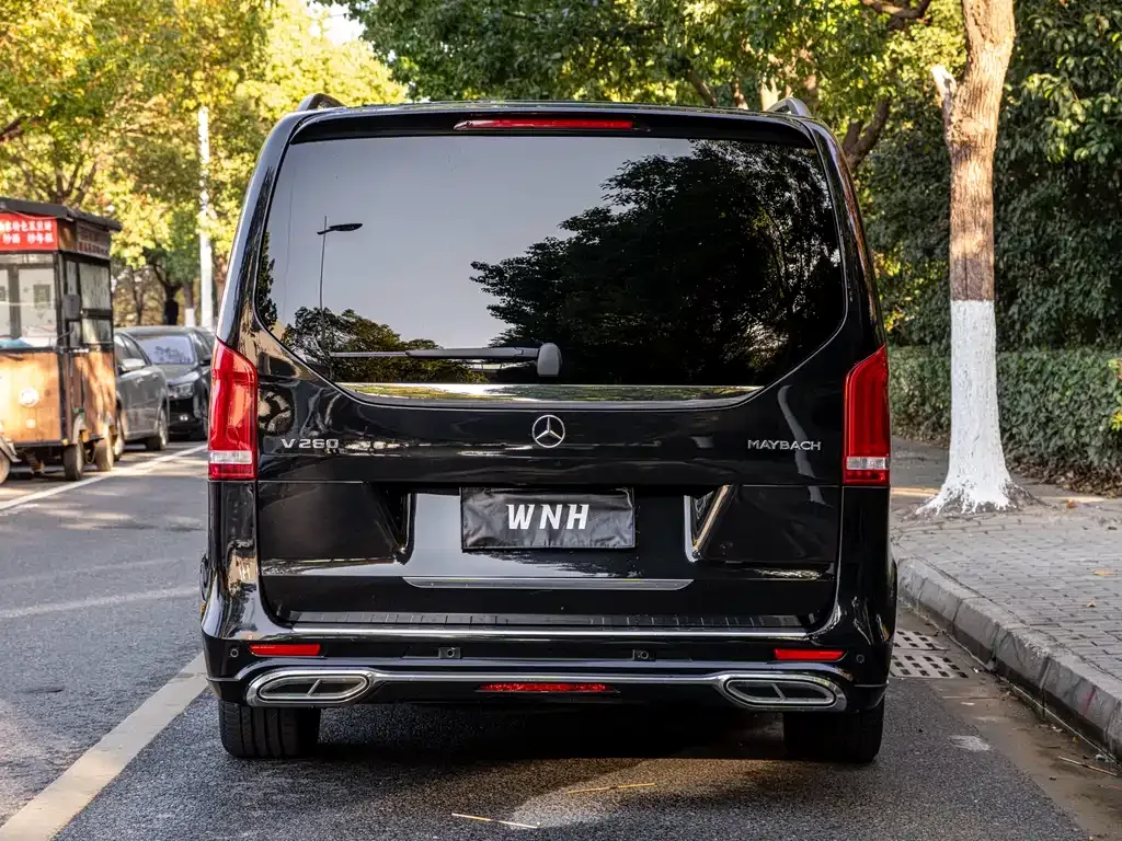 Mercedes-Benz V-Class 2021 из CN, фото 4