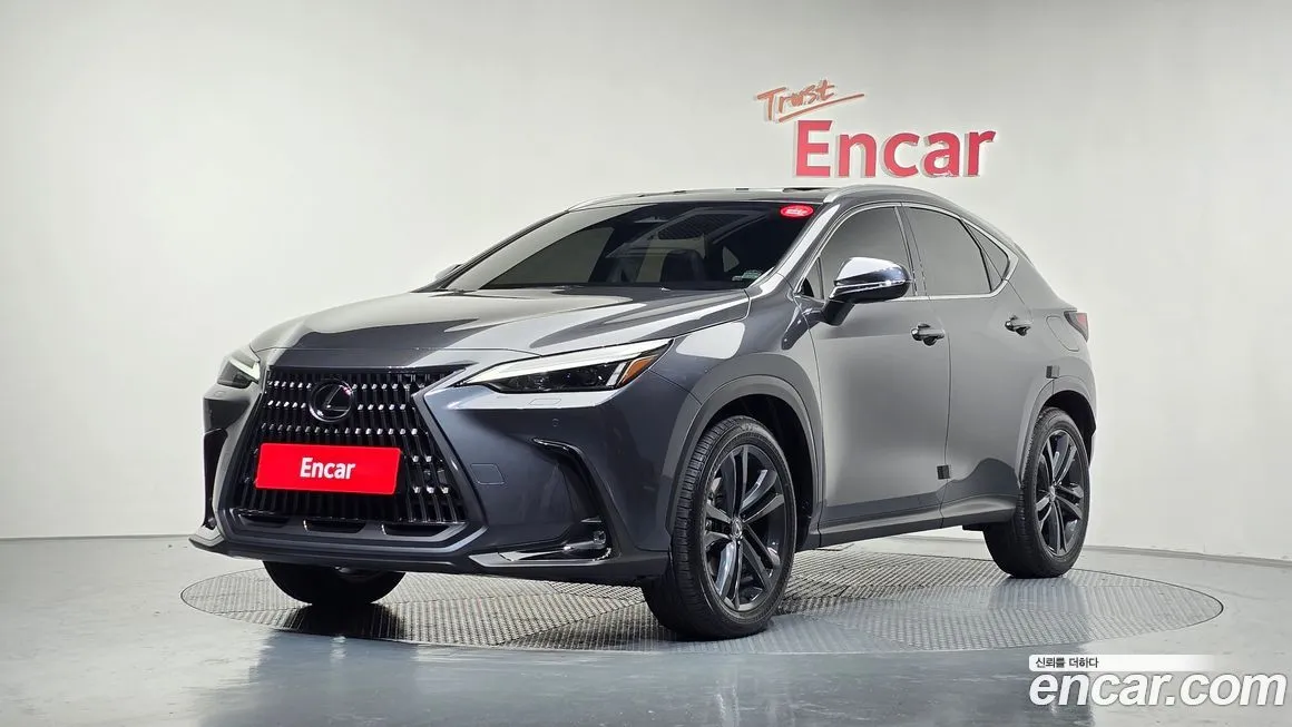 Lexus NX 2025 из KR, фото 1