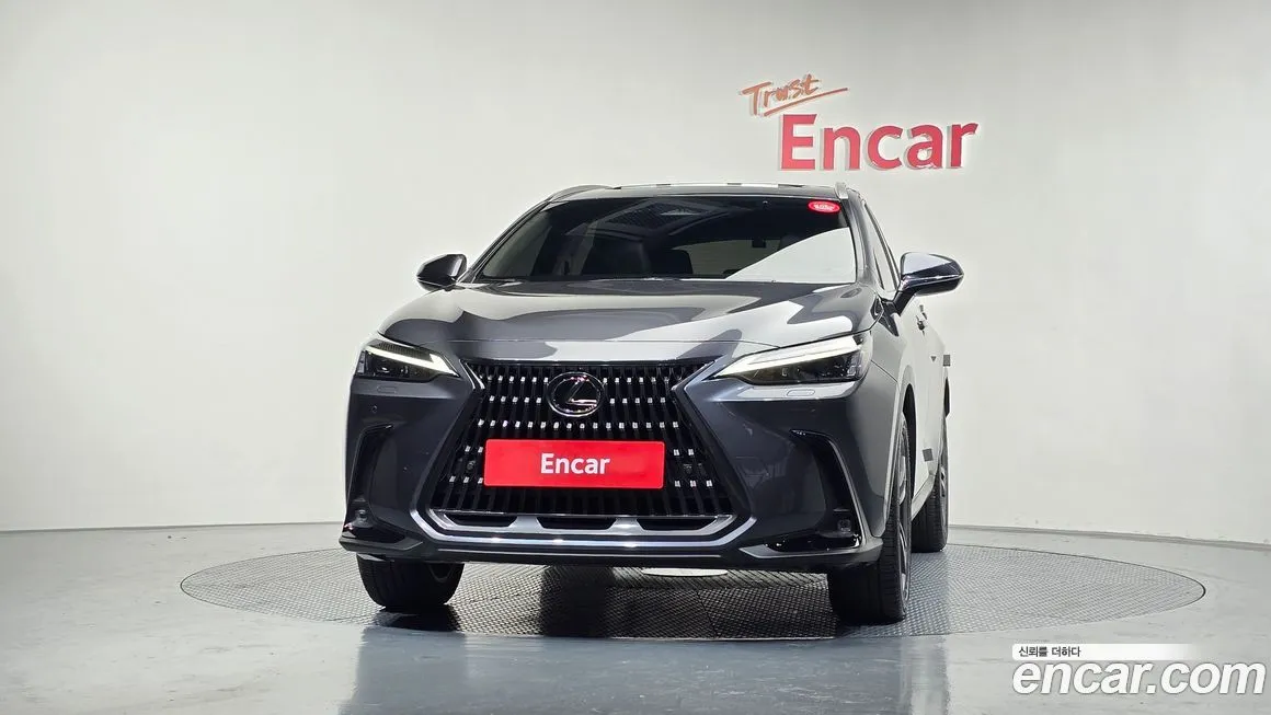 Lexus NX 2025 из KR, фото 3