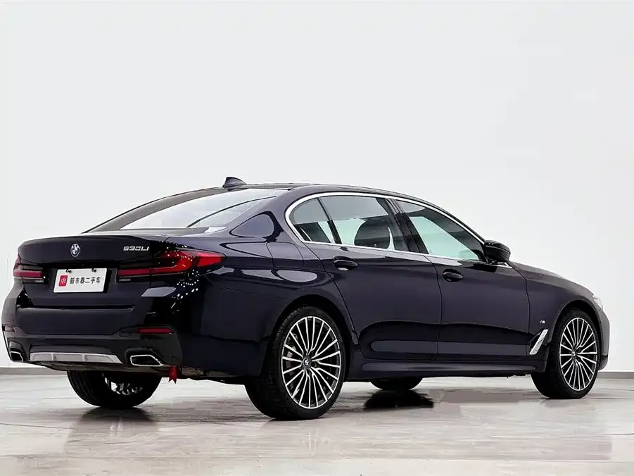 BMW 5 Series 2023 из CN, фото 5