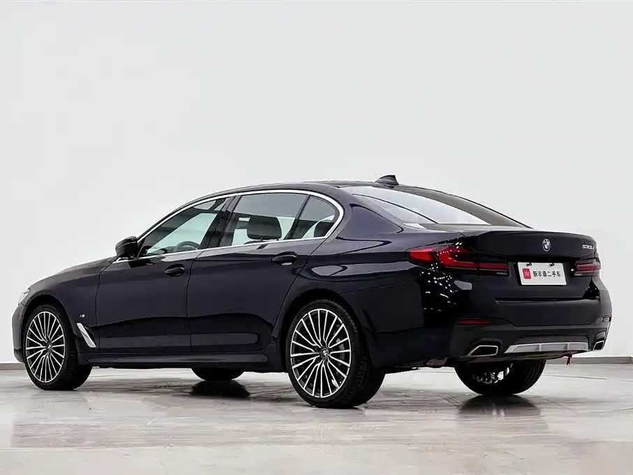 BMW 5 Series 2023 из CN, фото 6