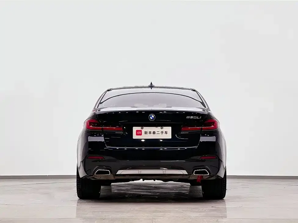 BMW 5 Series 2023 из CN, фото 7