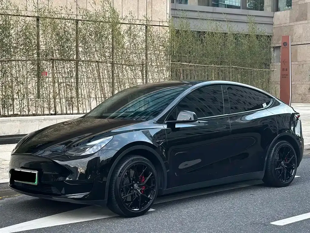 Tesla Model Y 2022 из CN, фото 1