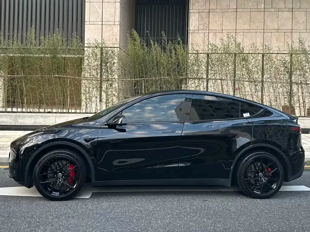 Tesla Model Y 2022 из CN, фото 6