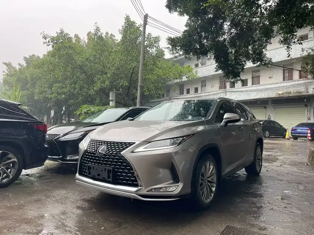 Lexus RX 2022 из CN, фото 1
