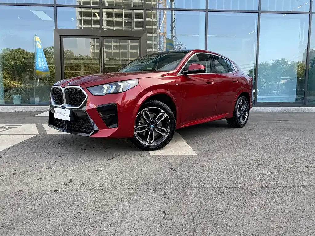BMW X2 (Import) 2024 из CN, фото 1