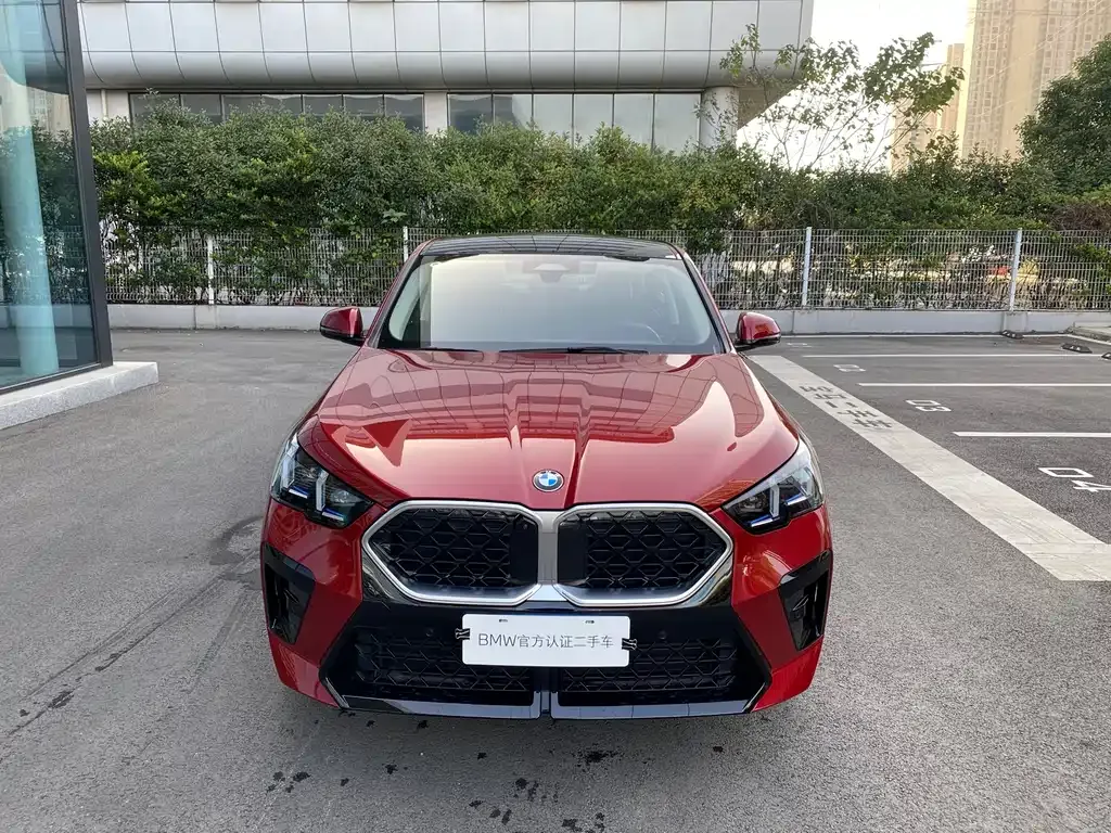 BMW X2 (Import) 2024 из CN, фото 2