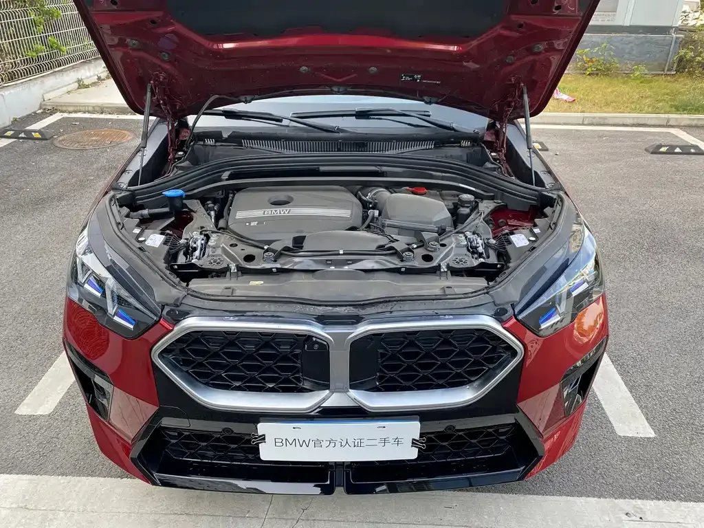 BMW X2 (Import) 2024 из CN, фото 4