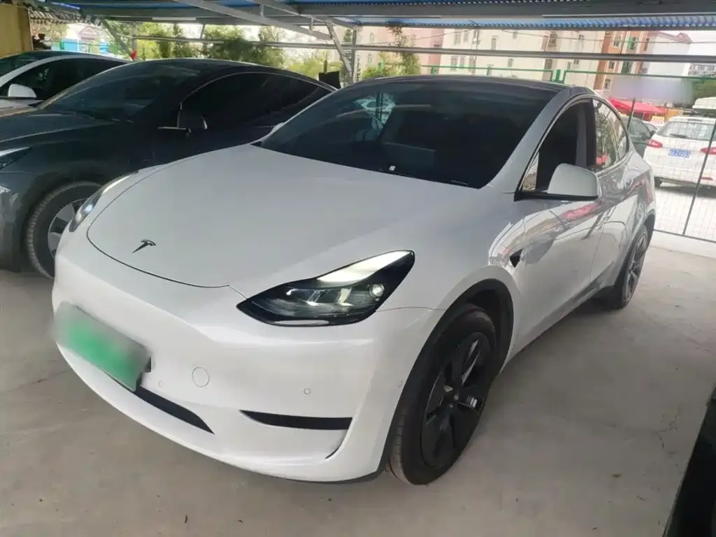 Tesla Model Y — фото 1