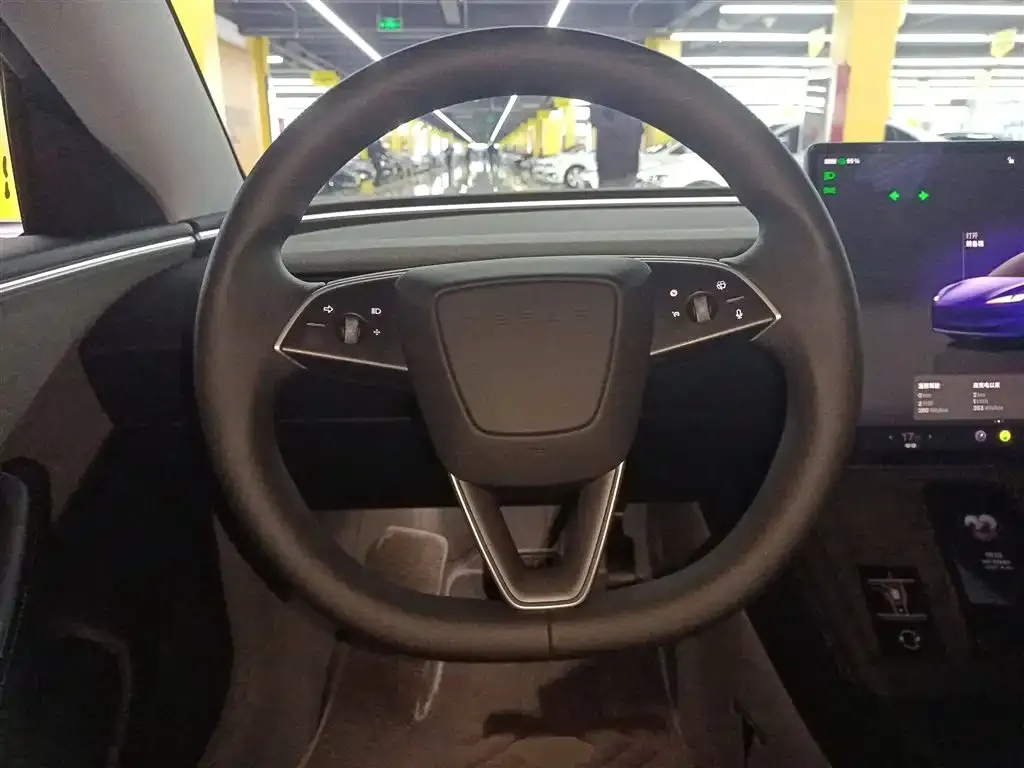 Tesla Model 3 2025 из CN, фото 3