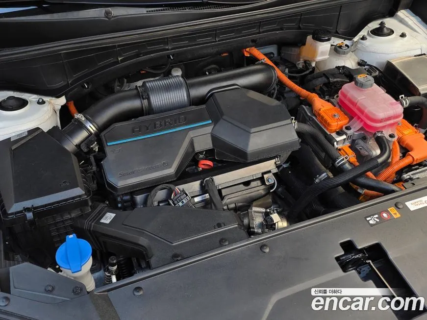 Kia Sorento 2022 из KR, фото 6