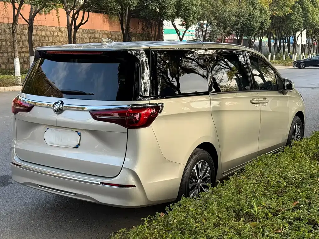 Buick GL8 2022 из CN, фото 6