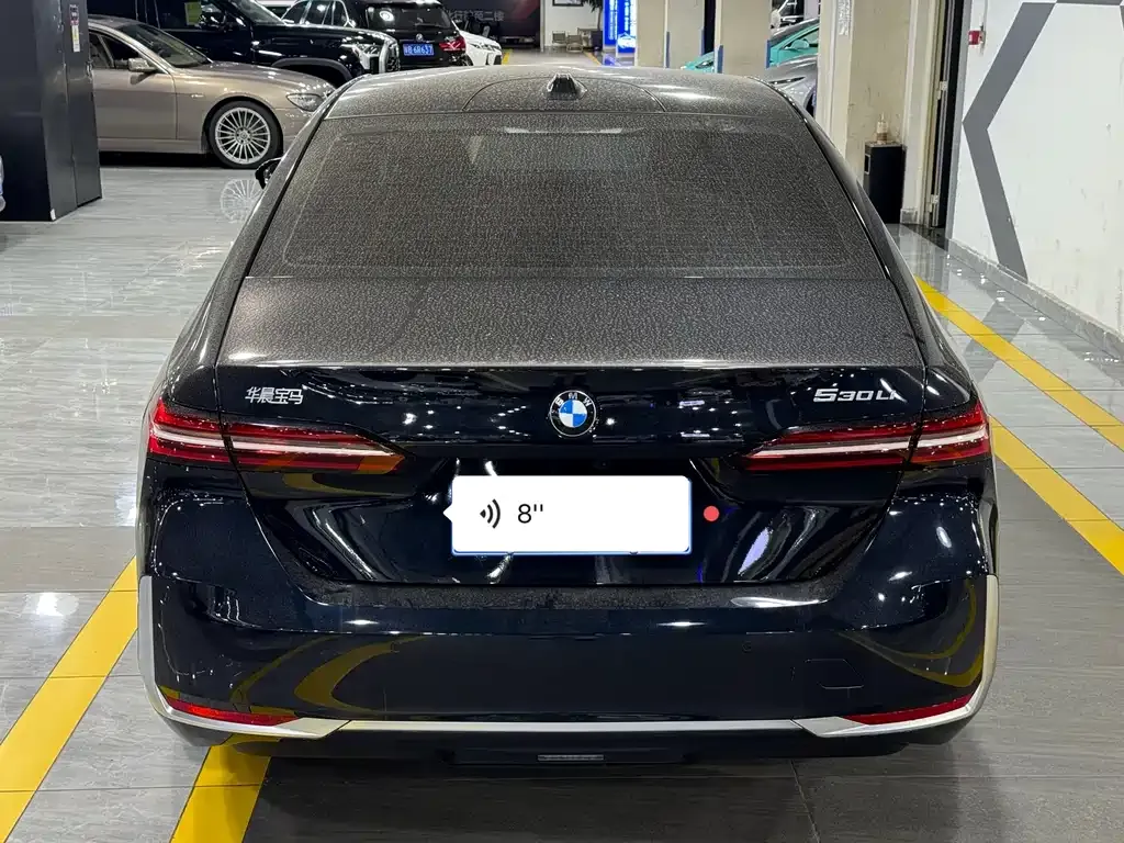 BMW 5 Series 2025 из CN, фото 5