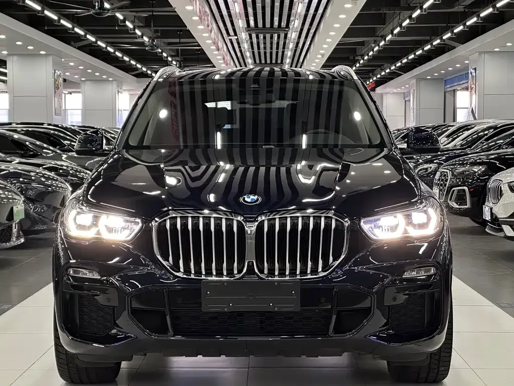 BMW X5 (Import) 2021 из CN, фото 1