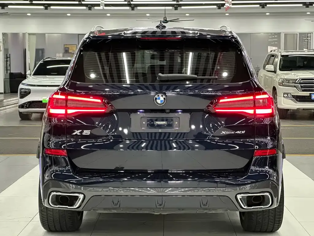 BMW X5 (Import) 2021 из CN, фото 9
