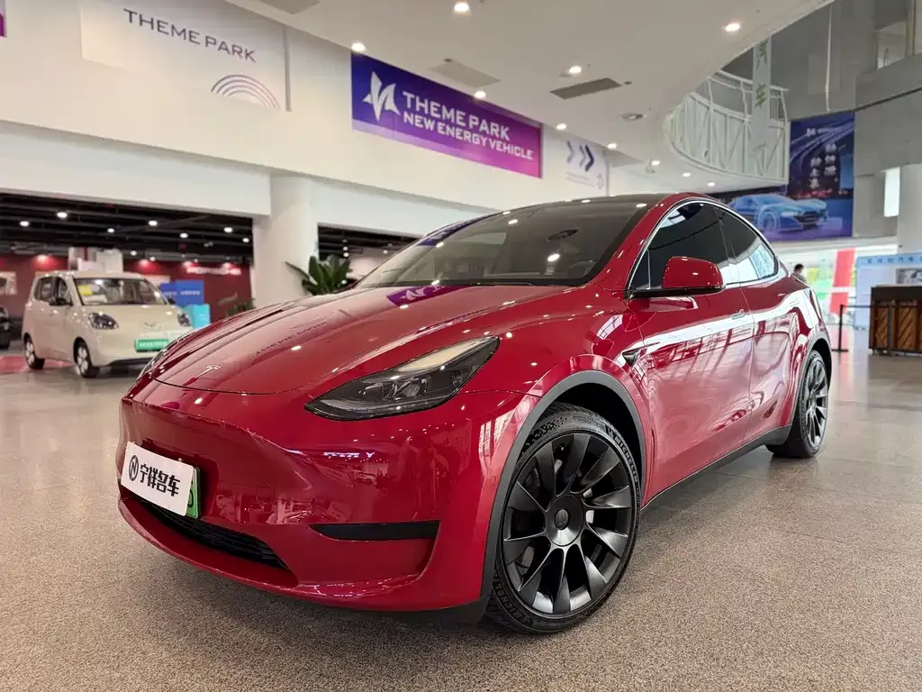 Tesla Model Y 2022 из CN, фото 1