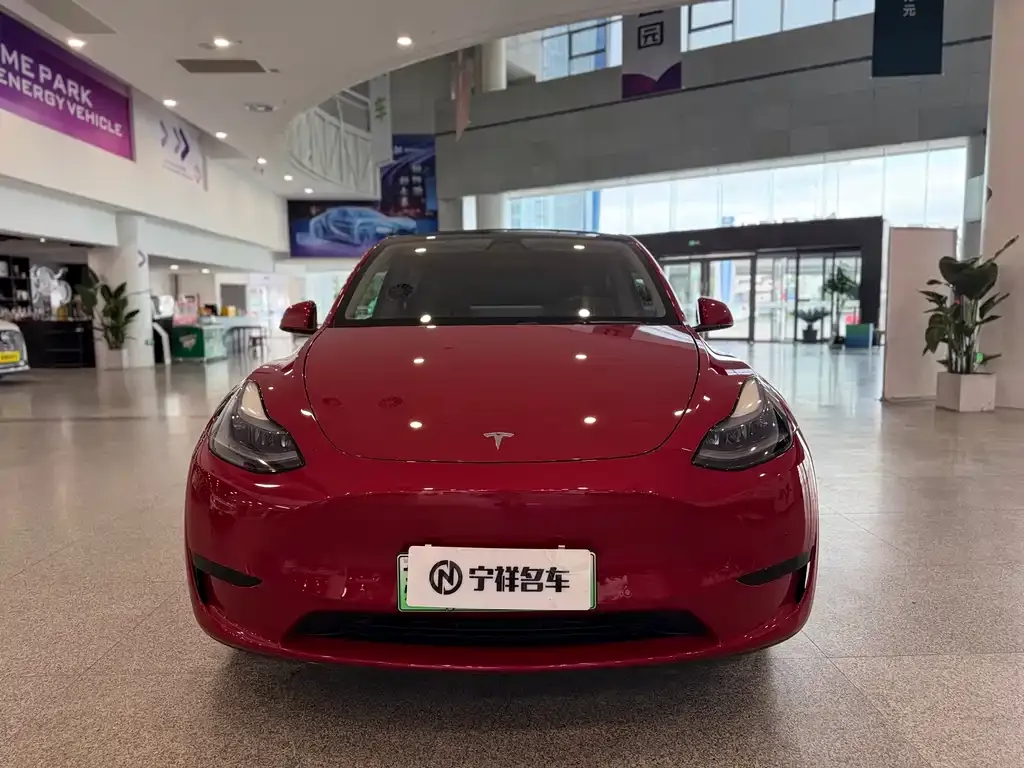 Tesla Model Y 2022 из CN, фото 2