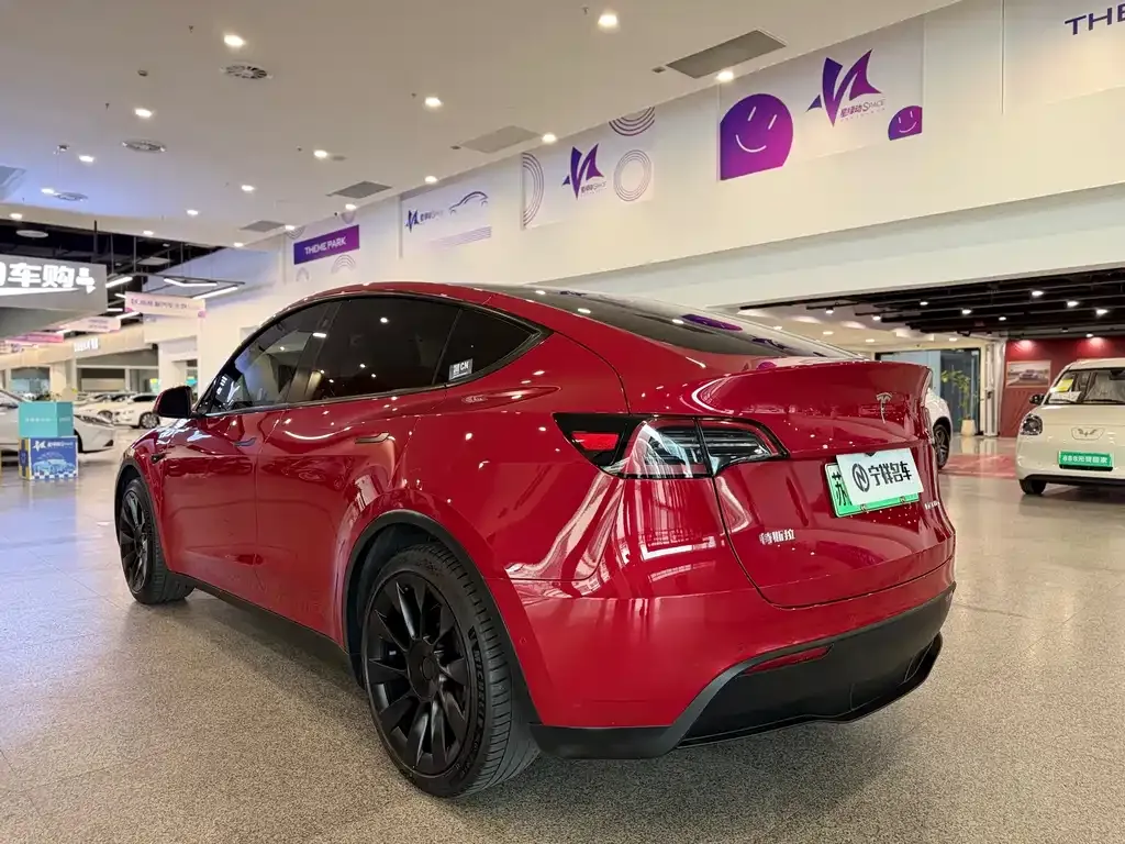 Tesla Model Y 2022 из CN, фото 6