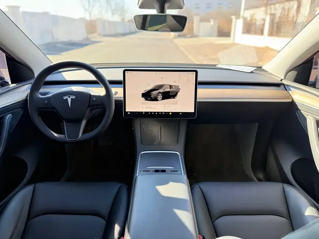 Tesla Model Y — фото 10