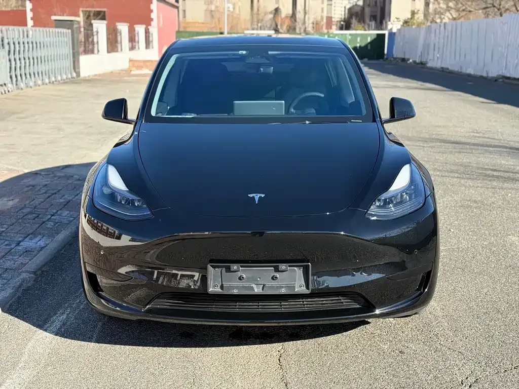 Tesla Model Y — фото 2