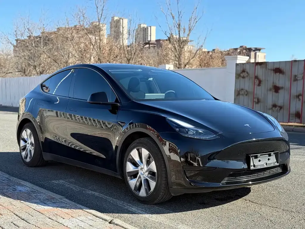 Tesla Model Y — фото 3