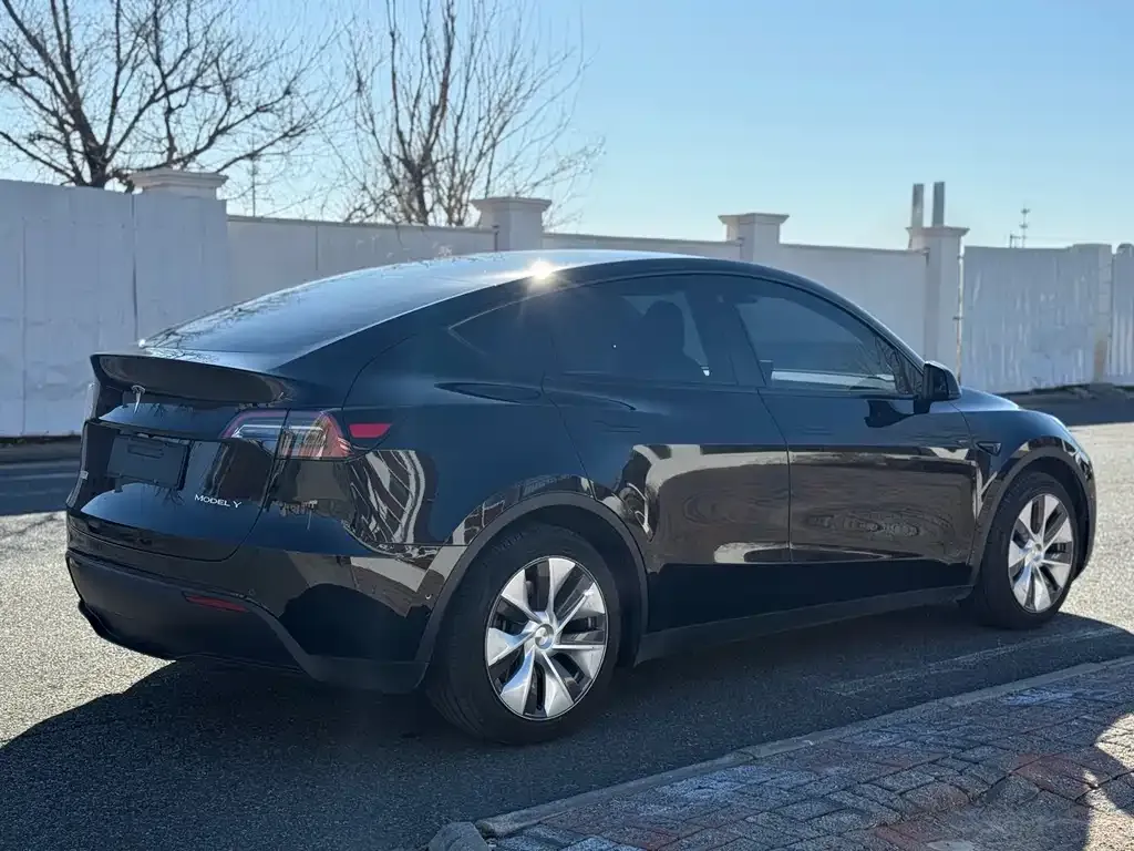 Tesla Model Y — фото 5