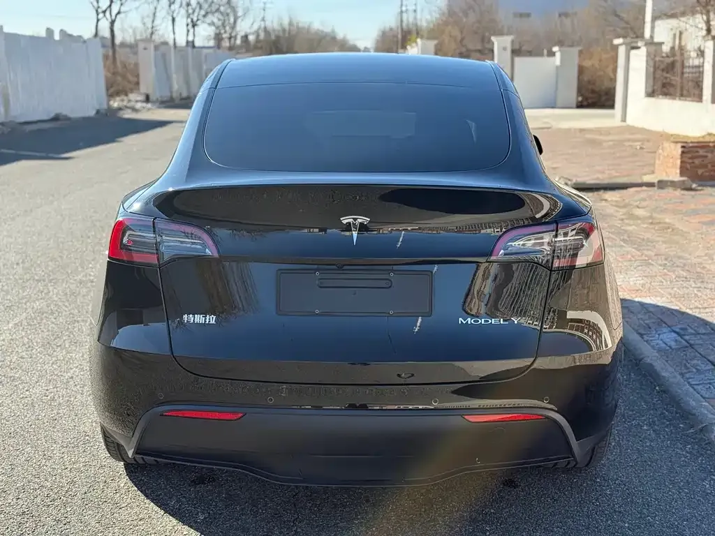 Tesla Model Y — фото 6