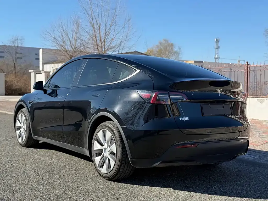 Tesla Model Y — фото 7
