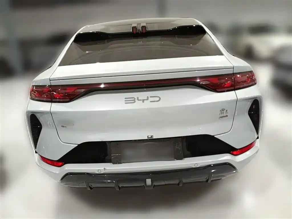 BYD L EV 2025 из CN, фото 10