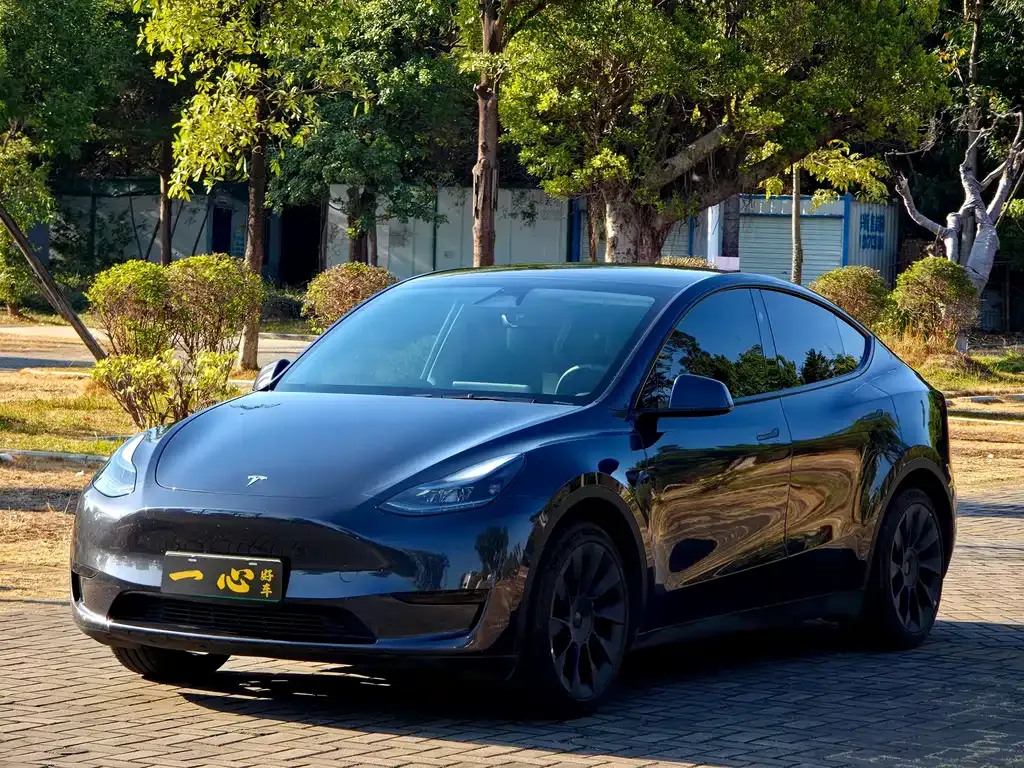 Tesla Model Y 2024 из CN, фото 1