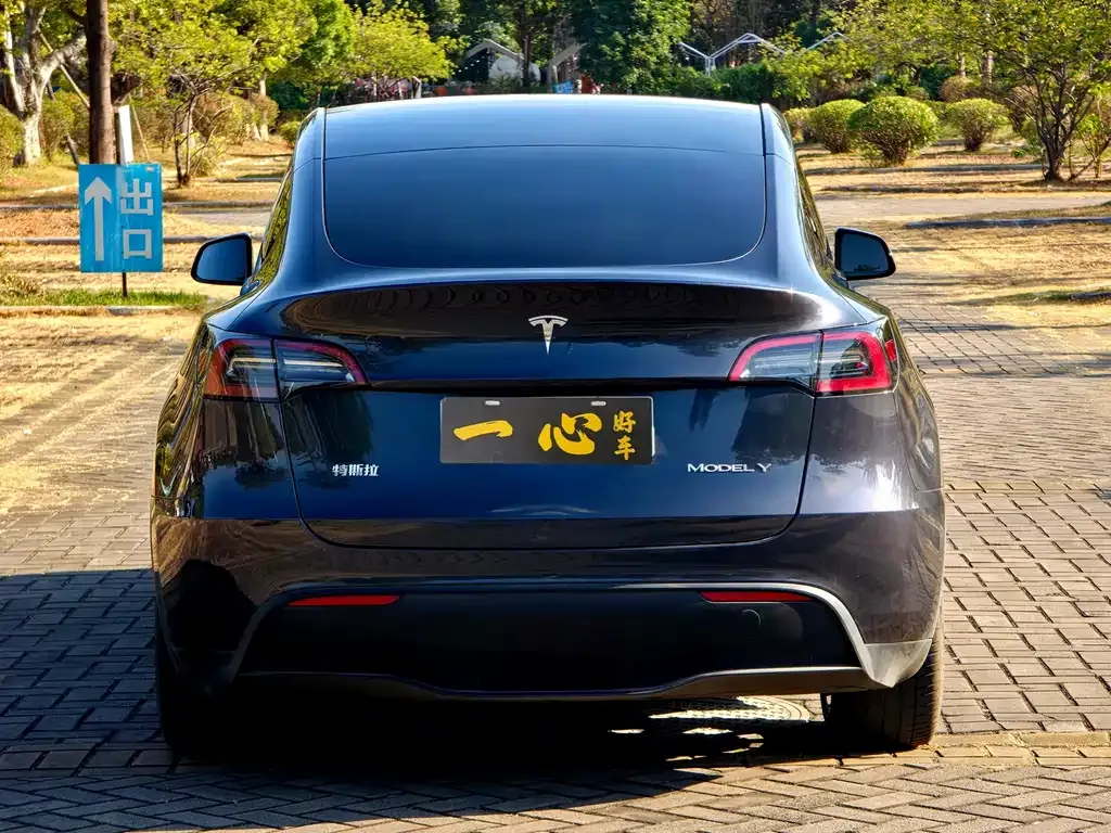 Tesla Model Y 2024 из CN, фото 10