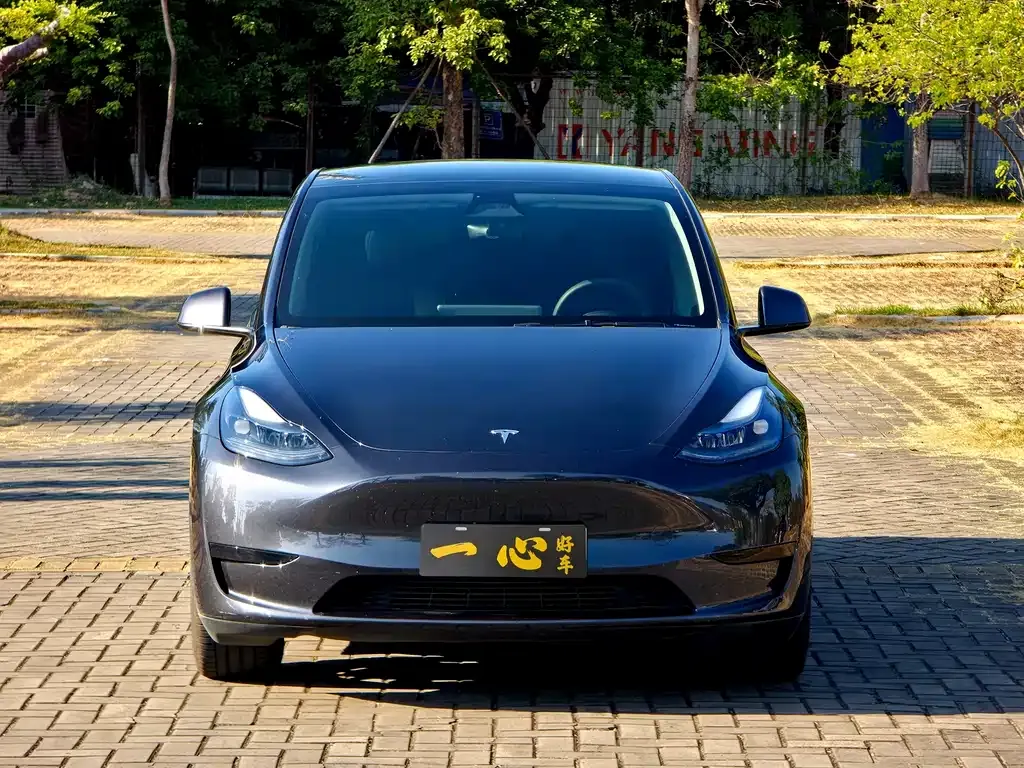 Tesla Model Y 2024 из CN, фото 2