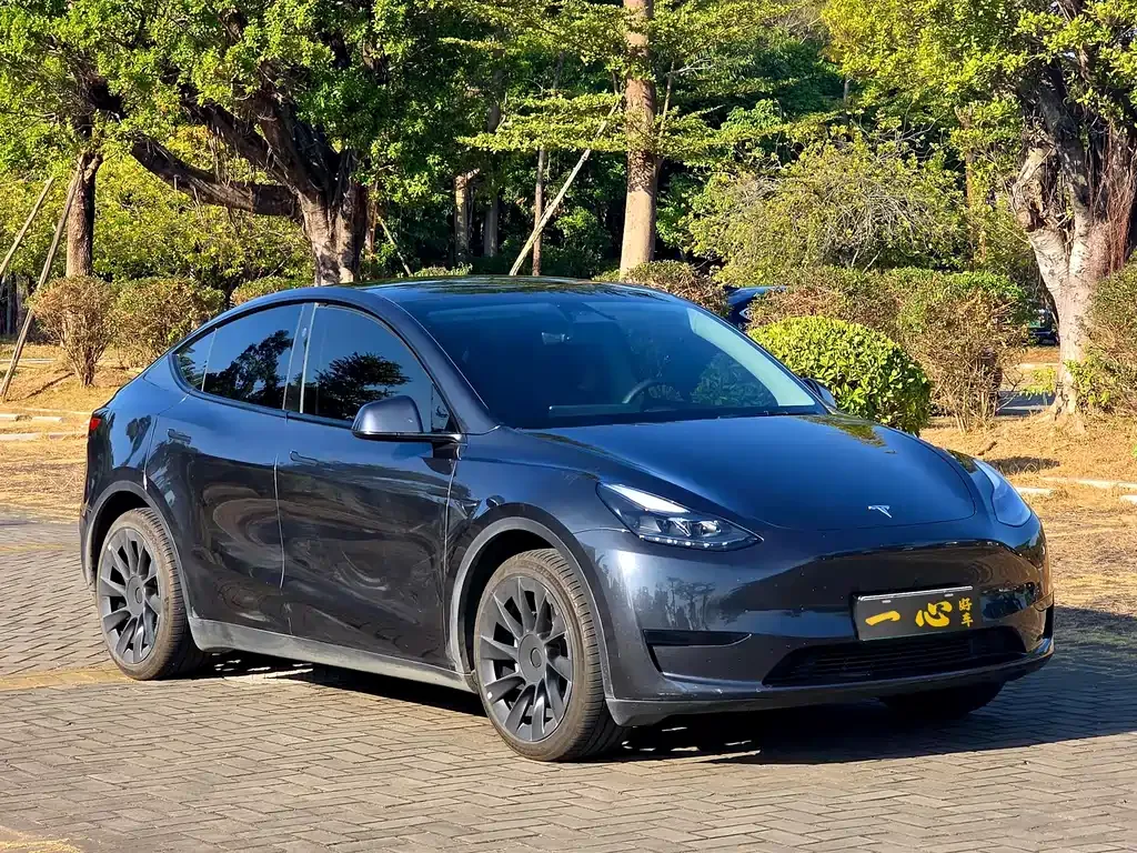 Tesla Model Y 2024 из CN, фото 3