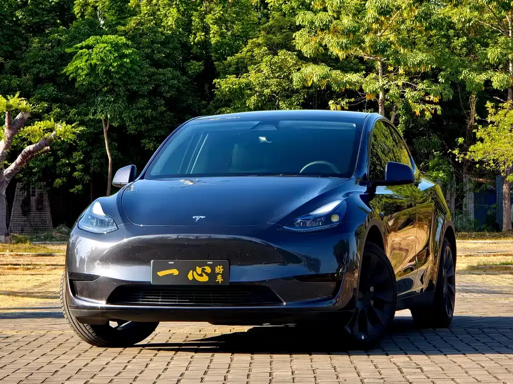 Tesla Model Y 2024 из CN, фото 4