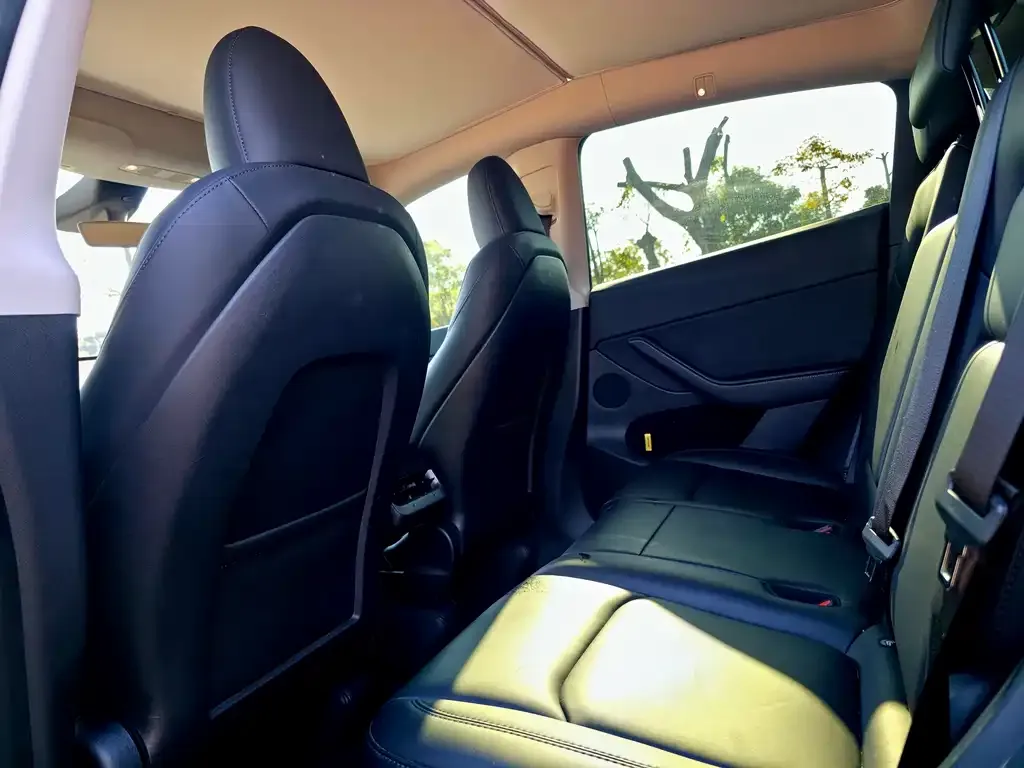 Tesla Model Y 2024 из CN, фото 6