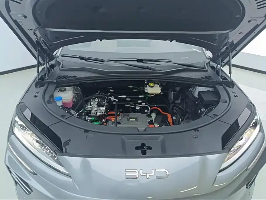 BYD PLUS New Energy 2025 из CN, фото 10