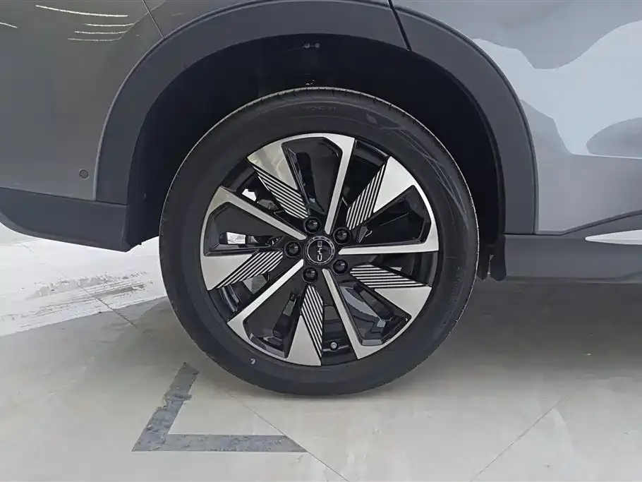 BYD PLUS New Energy 2025 из CN, фото 6