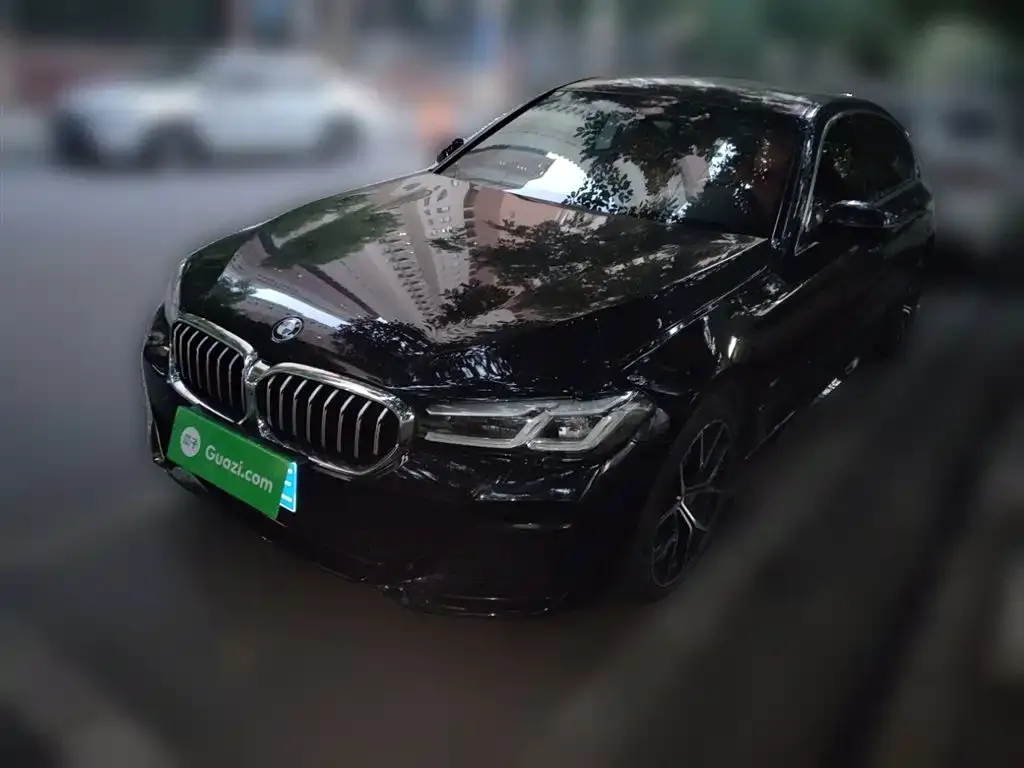 BMW 5 Series 2022 из CN, фото 1