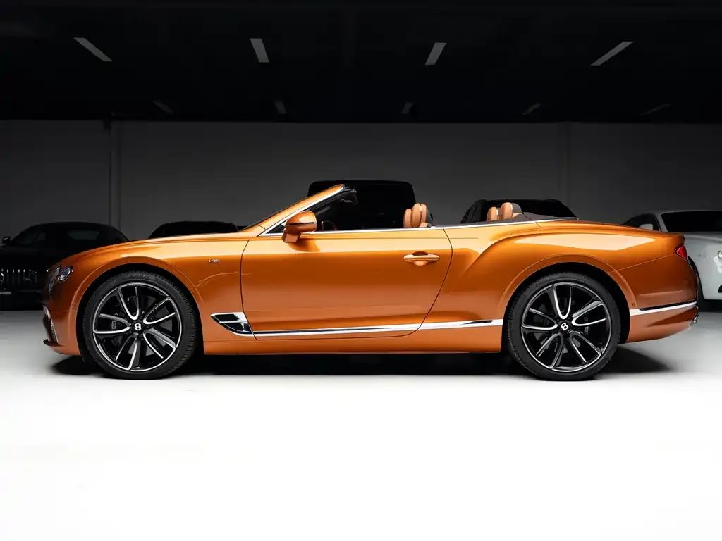 [object Object] Continental 2022 из CN, фото 3