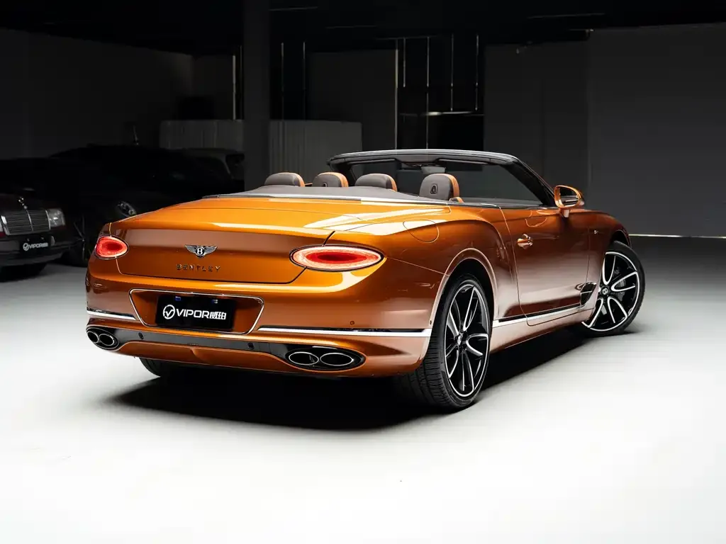 [object Object] Continental 2022 из CN, фото 6