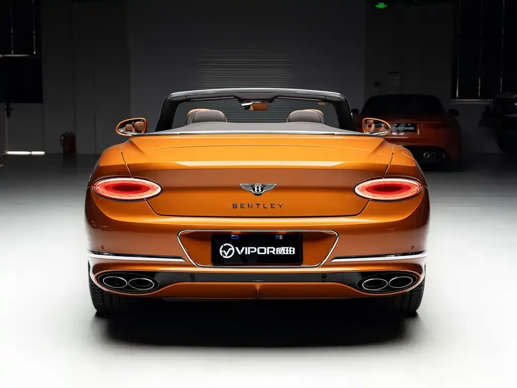 [object Object] Continental 2022 из CN, фото 7