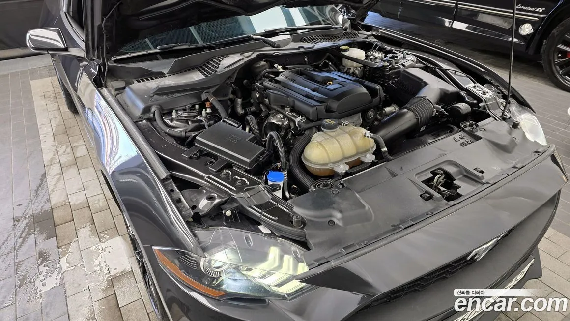 Ford Mustang 2022 из KR, фото 6