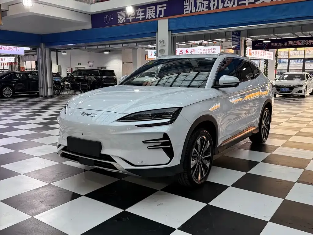 BYD PLUS New Energy 2025 из CN, фото 1