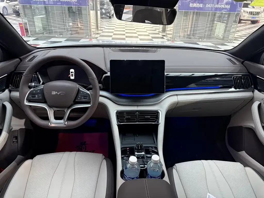 BYD PLUS New Energy 2025 из CN, фото 10