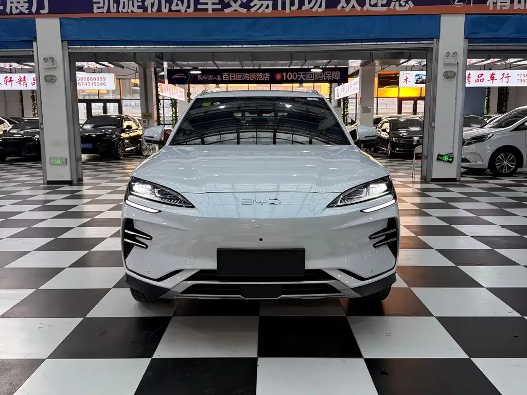 BYD PLUS New Energy 2025 из CN, фото 2