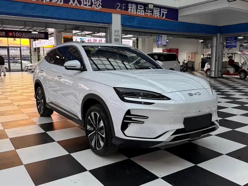 BYD PLUS New Energy 2025 из CN, фото 3