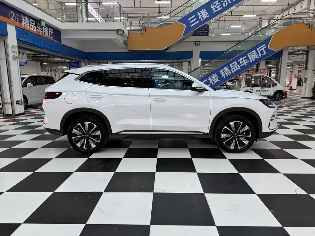 BYD PLUS New Energy 2025 из CN, фото 4
