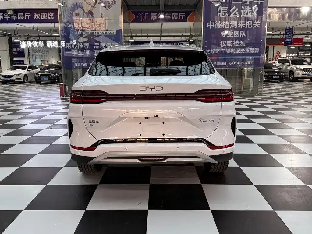 BYD PLUS New Energy 2025 из CN, фото 5