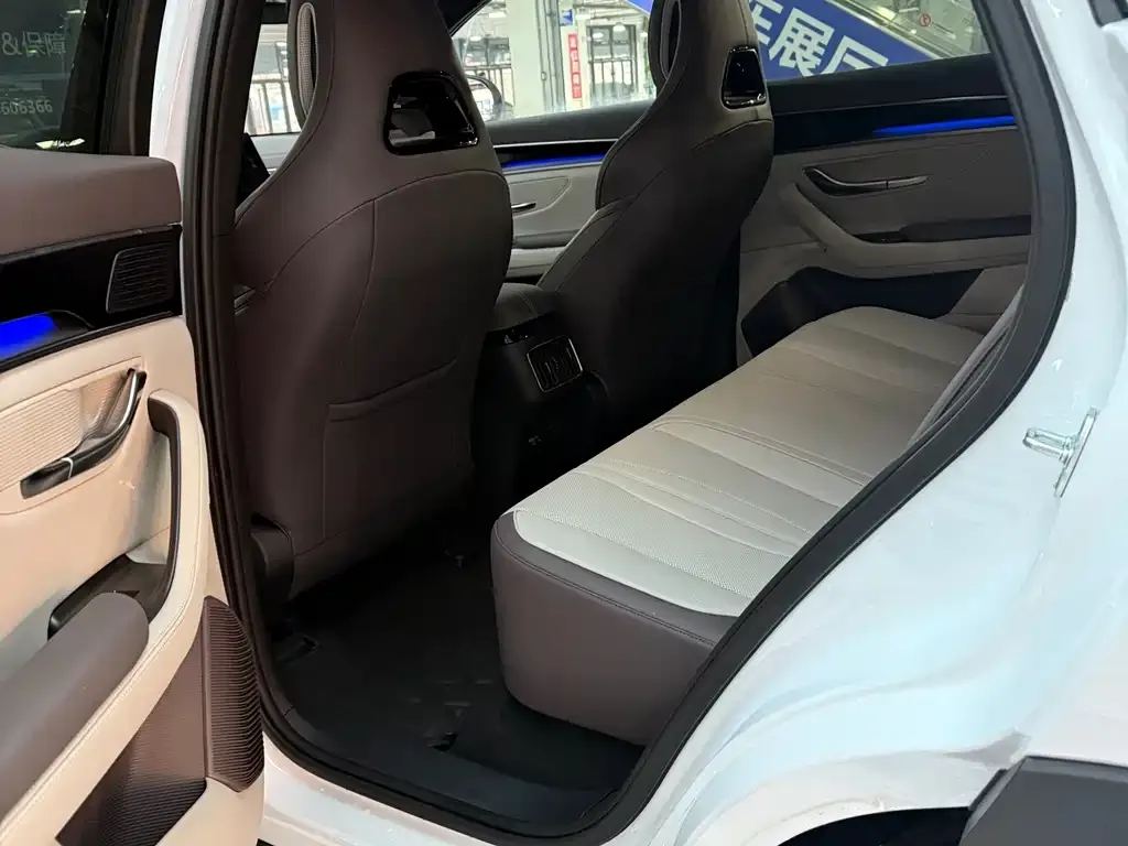 BYD PLUS New Energy 2025 из CN, фото 9