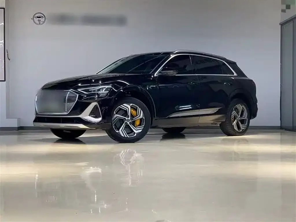 Audi e-tron 2023 из CN, фото 2